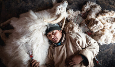 蒙古牧羊人以特製的鐵梳，從山羊身上梳下羊絨。(攝影／Alessandra Mont／PARALLELOZERO)