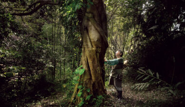 園藝治療師黃盛璘示範雙手抱樹，體驗老榕樹能量。(攝影／劉子正)