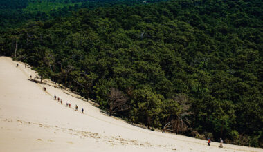 皮拉沙丘是歐洲面積最大的沙丘，從沙丘上放眼右望，是一望無際的森林。(攝影／Emeric Fohlen)