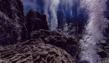 義大利西西里島北側的埃奧利群島，海底有著豐富的火山活動，大量的氣體不斷從海床噴湧而出。(攝影／Alexis Rosenfeld)