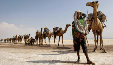 在乾旱的東非達納基勒，阿法爾人，世世代代以牧羊、運鹽為生，生存不易。(攝影／Adriano Marzi)
