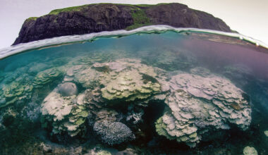 澎湖東吉嶼碼頭北側的玄武岩地景「東吉之眼」，海面下有著層層堆疊的珊瑚礁，去年卻出現大規模白化。(攝影／蘇淮)