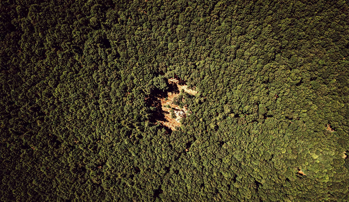 歐洲黑手黨近年砍伐小片林地，讓執法單位難以透過GPS找尋。(攝影／Antonio Faccilongo)