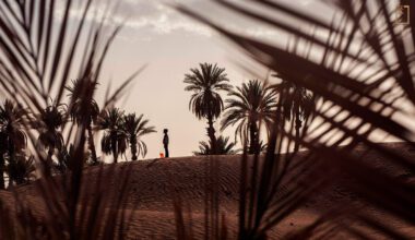 綠洲曾是摩洛哥人安居樂業之所在，氣候變遷與人類活動卻聯手埋葬了美麗家園。(攝影／Matilde Gattoni)
