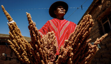 玻利維亞農戶把藜麥視為種籽之母，從自給自足的盤中飧，到世人趨之若鶩的超級穀物，藜麥身價逐年翻漲，供不應求。(攝影／Karl Mancini)