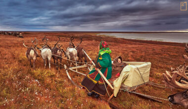 西伯利亞的邊陲生活著一群逐水草而居的游牧民族，領著馴鹿，穿梭在亞瑪爾半島上的苔原。(攝影／Alessandra Meniconzi)