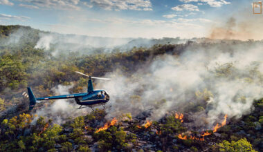 在四至七月的旱季期間，護林員配合直升機投下的燃燒彈，手持滴灌噴頭徒步數百公里，進行火災管理防止野火肆虐。(攝影／Matthew Abbott／Panos Pictures)
